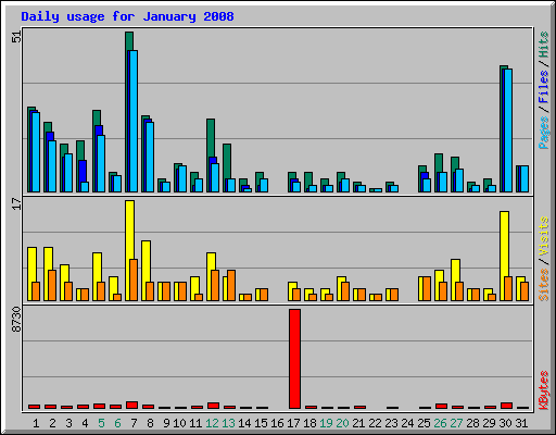 Daily usage for January 2008