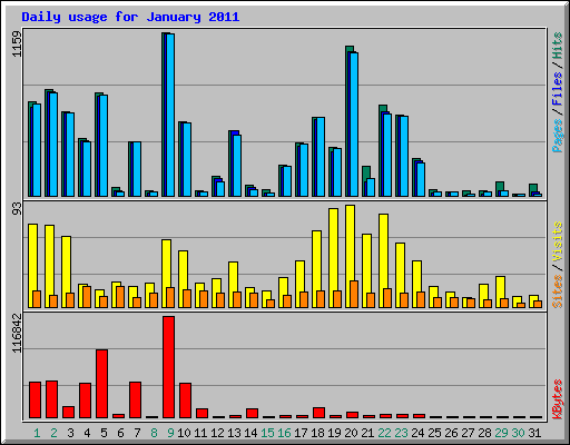 Daily usage for January 2011
