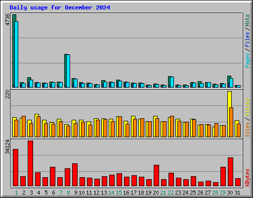 Daily usage for December 2024