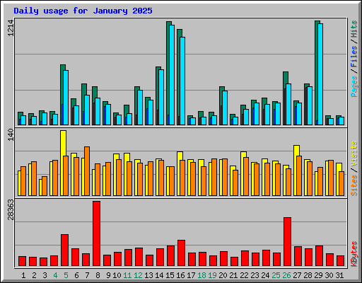 Daily usage for January 2025