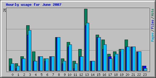 Hourly usage for June 2007