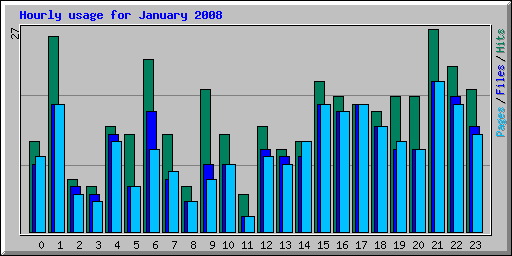 Hourly usage for January 2008