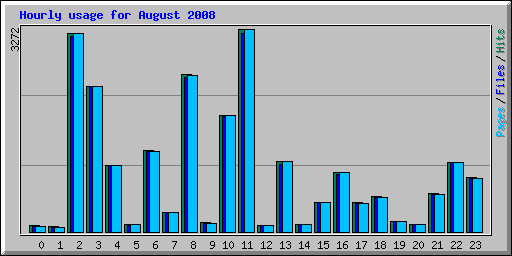 Hourly usage for August 2008