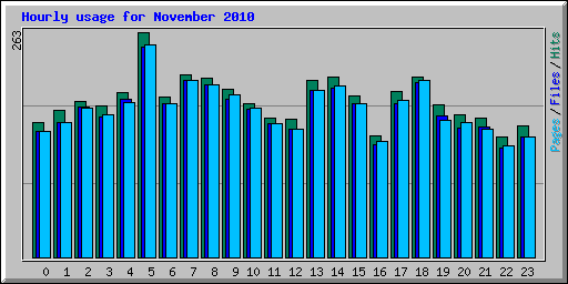 Hourly usage for November 2010