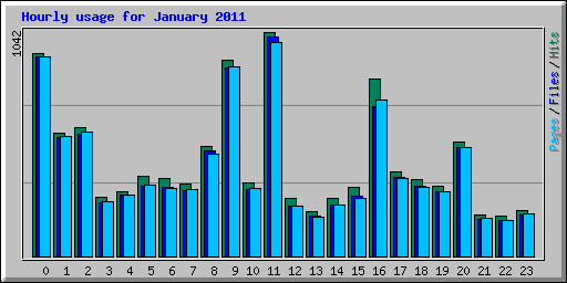 Hourly usage for January 2011