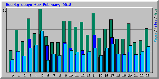 Hourly usage for February 2013