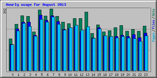 Hourly usage for August 2013