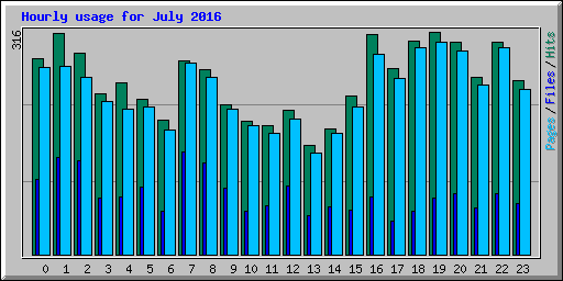 Hourly usage for July 2016