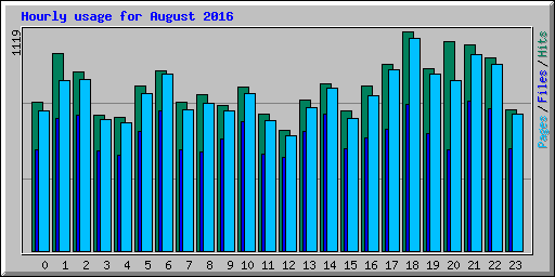 Hourly usage for August 2016