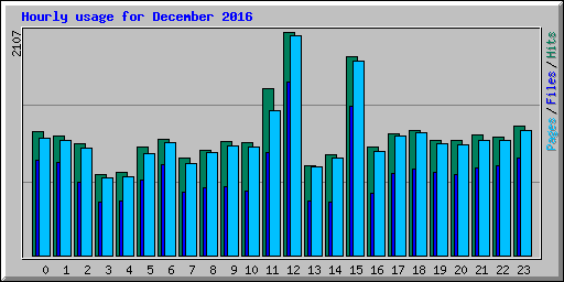 Hourly usage for December 2016