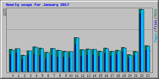 Hourly usage for January 2017