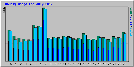 Hourly usage for July 2017