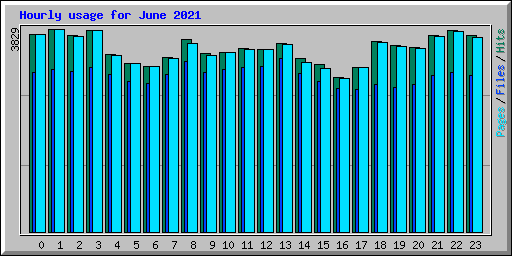 Hourly usage for June 2021