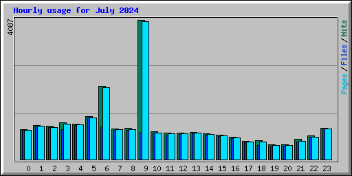 Hourly usage for July 2024