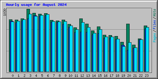 Hourly usage for August 2024