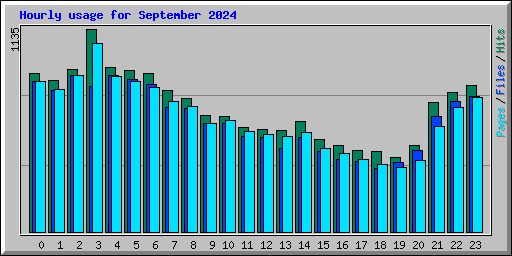 Hourly usage for September 2024