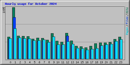 Hourly usage for October 2024