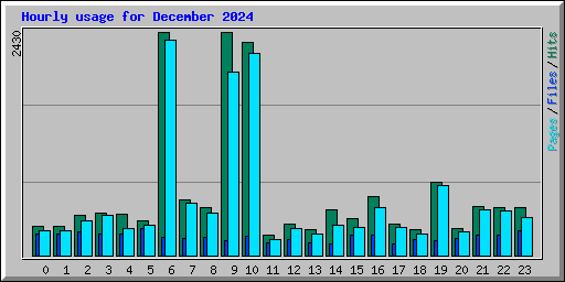 Hourly usage for December 2024