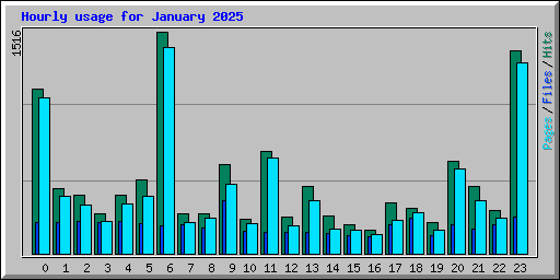 Hourly usage for January 2025