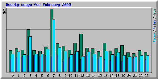 Hourly usage for February 2025