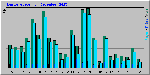 Hourly usage for December 2025