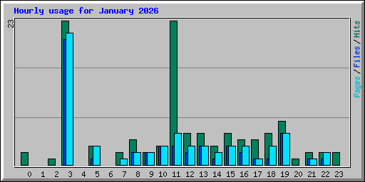 Hourly usage for January 2026